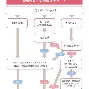 九游娱乐-包含这也行？C罗与70激战阿森纳分钟萨拉赫与70激战掘金分钟，今夜夏洛特黄蜂调整名单以备社区盾的词条
